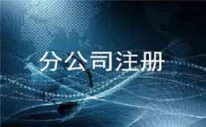 芜湖注册分公司的流程是怎样的