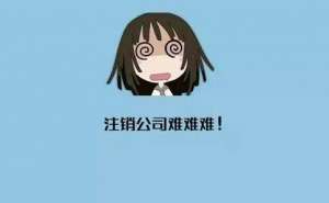 芜湖代运营公司注销的流程是什么