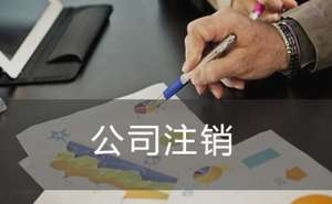 芜湖未经营公司注销的流程及需提供的材料